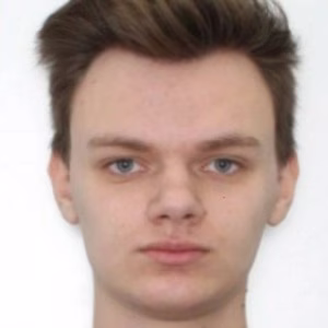 Oleksandr B., .NET & Azure Engineer with React skills