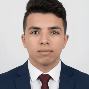 Ahmed Abdelnaser Hashesh, Junior Data Analyst